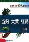 名贵中药材绿色栽培技术  当归  大黄  红芪 封面