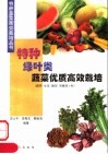 特种绿叶类蔬菜优质高效栽培 封面