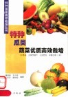 特种瓜类蔬菜优质高效栽培  小冬瓜、金黄西葫芦、礼品西瓜、洋香瓜等12种 封面