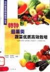 特种茄果类蔬菜优质高效栽培 封面