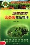 茼蒿蕹菜无公害高效栽培 封面