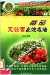 番茄无公害高效栽培 封面