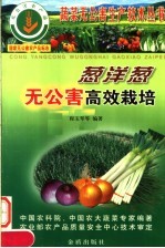 葱洋葱无公害高效栽培 封面