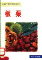 板栗 封面