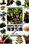 观赏蕨类 封面