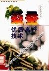 桑蚕优质高产技术 封面