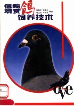 信鸽  观赏鸽饲养技术 封面