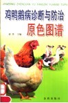 鸡鸭鹅病诊断与防治原色图谱 封面