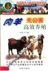 肉羊无公害高效养殖 封面