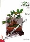 巧夺天工之小型盆景 封面