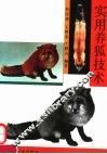 实用养狐技术 封面