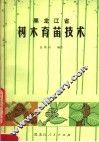 黑龙江省树木育苗技术 电子书封面