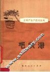 毛坝漆 封面