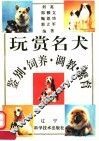 玩赏名犬鉴别、饲养、调教、繁育 封面