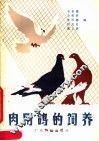 肉用鸽的饲养 封面