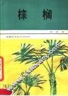 棕榈 封面