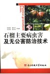 石榴主要病虫害及无公害防治技术 封面