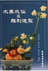 水养水仙及雕刻造型 封面