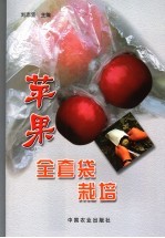 苹果全套袋栽培 封面