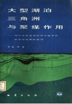 大型湖泊三角洲与聚煤作用  鄂尔多斯盆地西缘中侏罗统延安组煤聚积规律 封面