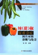 辣  甜  椒疑难杂症图片对照诊断与处方 封面