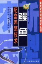 鳗鱼配套养殖技术 封面