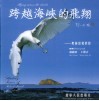 跨越海峡的飞翔  镜头中的黑脸琵鹭 封面
