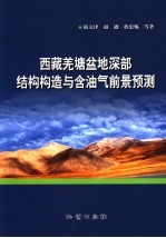 西藏羌塘地区深部地球物理与含油气前景预测 封面