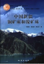 中国新疆铜矿床和镍矿床 封面