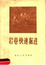 岩巷快速掘进 封面