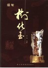 缅甸树化玉 封面