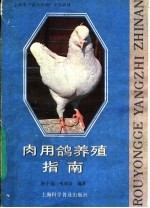 肉用使鸽养殖指南 封面