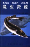 黑龙江·绥芬河·兴凯湖渔业资源 封面