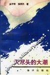 天尽头的大潮 封面