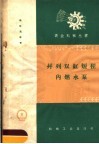 并列双缸短程内燃水泵 封面