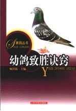 幼鸽致胜诀窍 封面