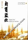 崛起中的自贡盐业 封面