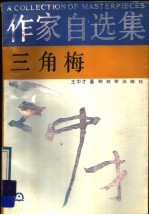 三角梅 封面