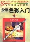 少年色彩入门 封面