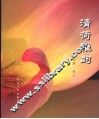 清荷雅韵 封面