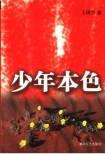 少年本色 封面