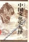 中国文化史九绎 封面