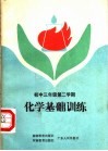 化学基础训练  初中三年二期 封面