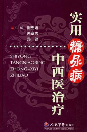 实用糖尿病中西医治疗 封面