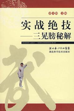 图解大洪拳三晃膀 封面