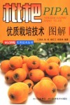 枇杷优质栽培技术图说 封面