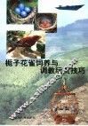 栀子花雀饲养与调教玩赏技巧 封面