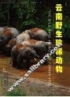 云南野生珍稀动物 封面