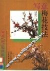 写意梅花技法 封面