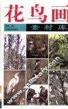 花鸟画素材库 封面